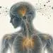 Burnout, Allostatic Overload, and the Neurodivergent Triad